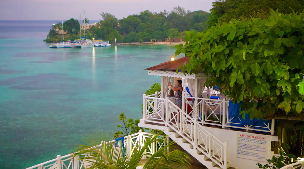 Web designer in Ocho Rios Jamaica